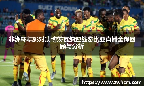 非洲杯精彩对决博茨瓦纳迎战赞比亚直播全程回顾与分析